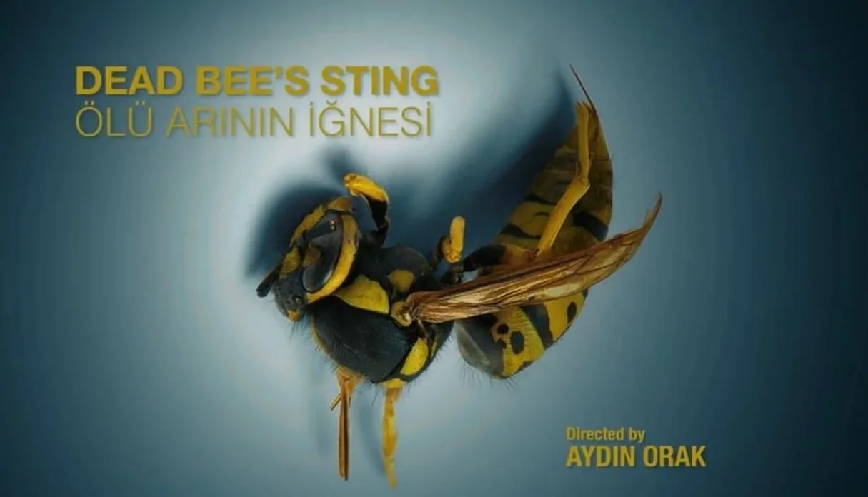 Dead Bee’s Sting artwork